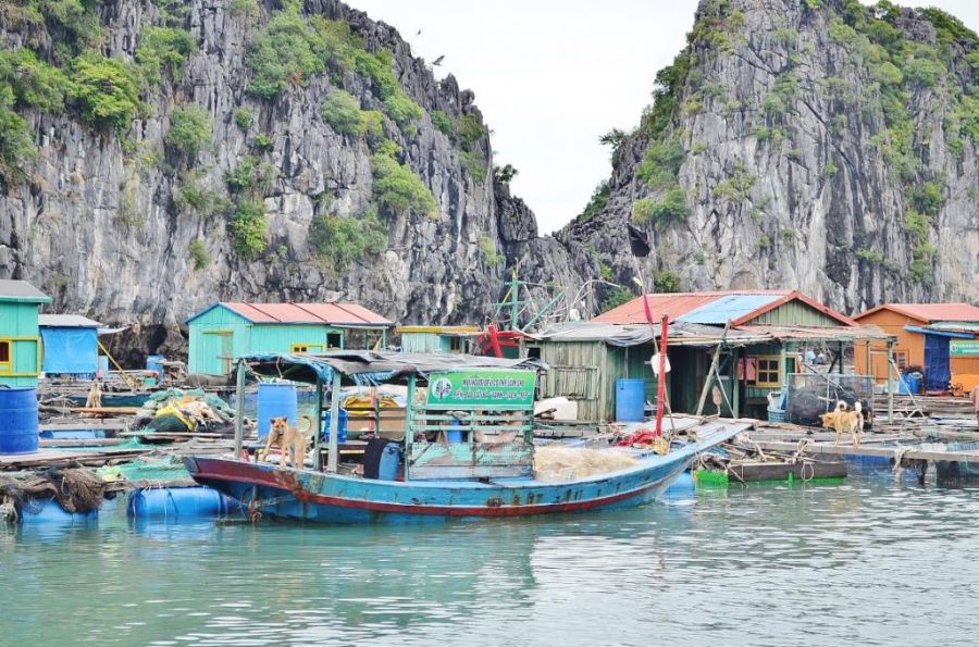 Жизнь в плавающем доме (35 фото)