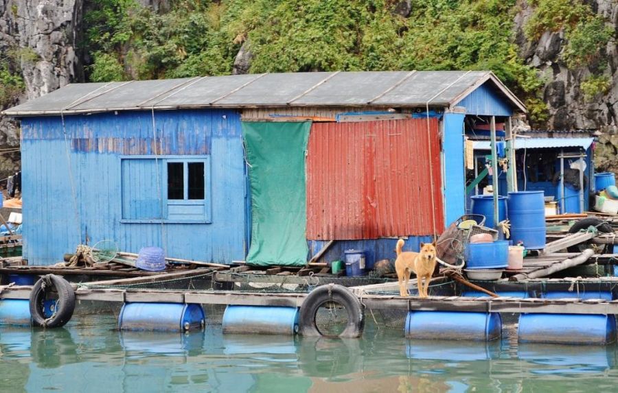 Жизнь в плавающем доме (35 фото)