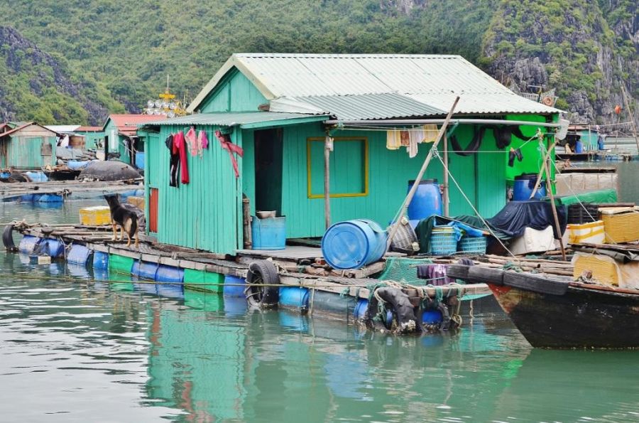 Жизнь в плавающем доме (35 фото)