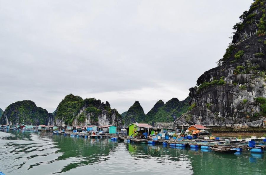 Жизнь в плавающем доме (35 фото)