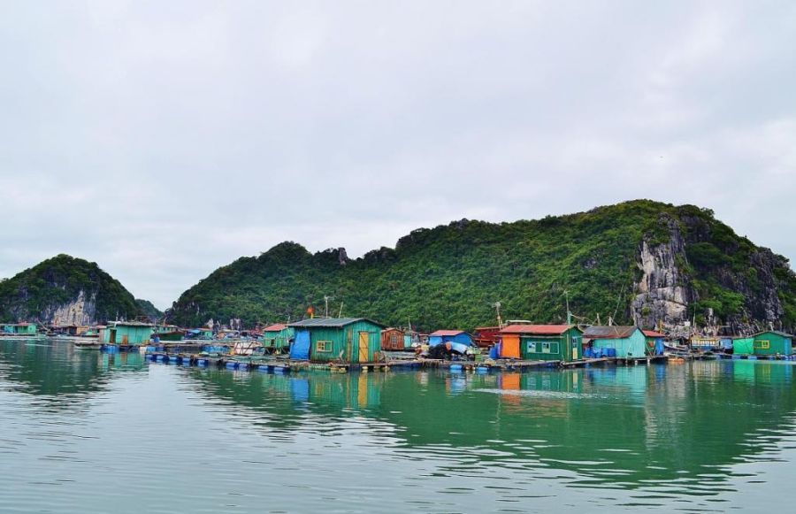 Жизнь в плавающем доме (35 фото)