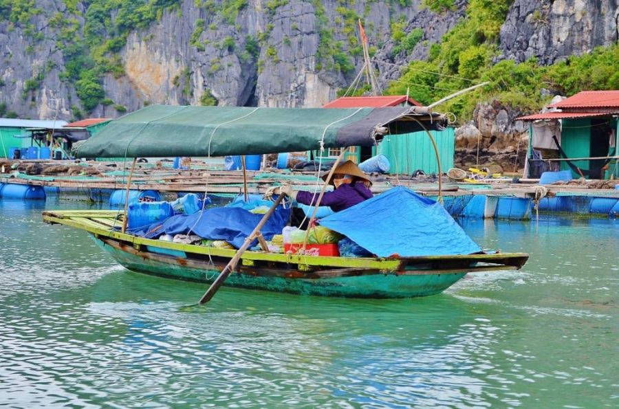 Жизнь в плавающем доме (35 фото)