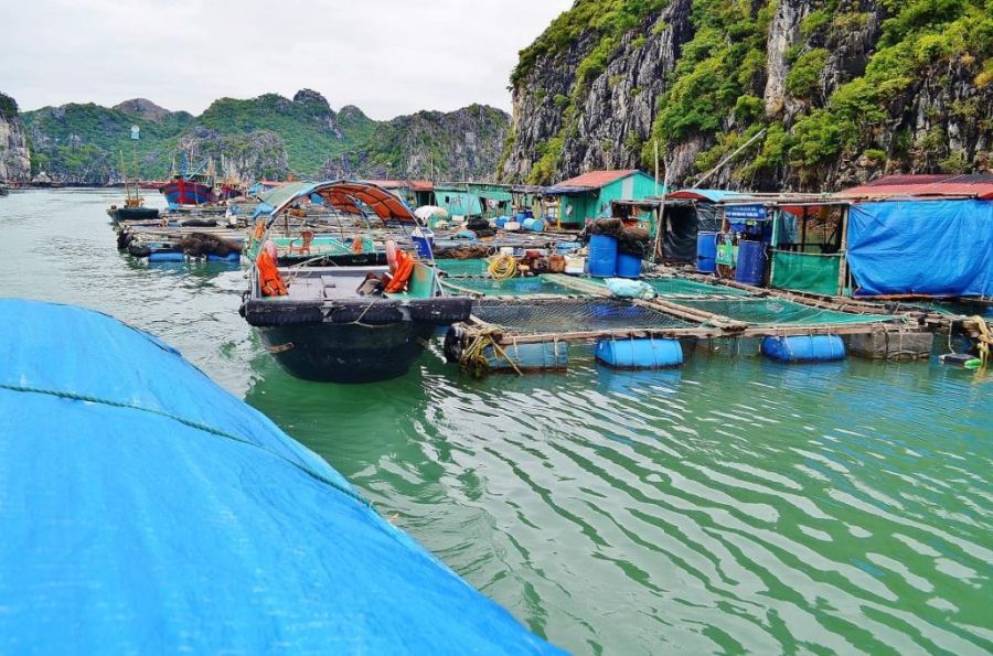 Жизнь в плавающем доме (35 фото)