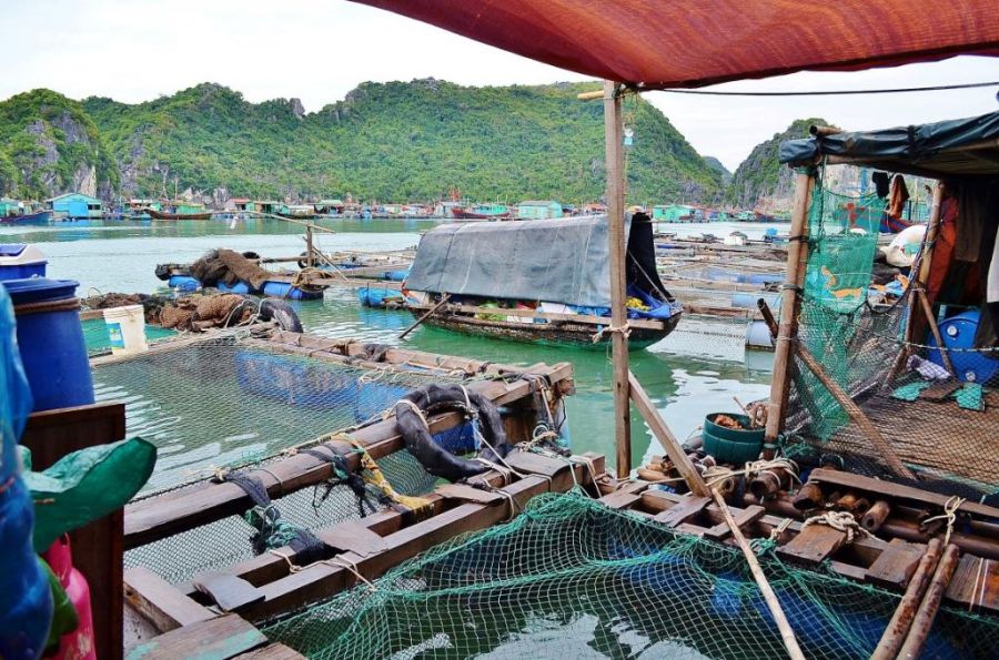 Жизнь в плавающем доме (35 фото)