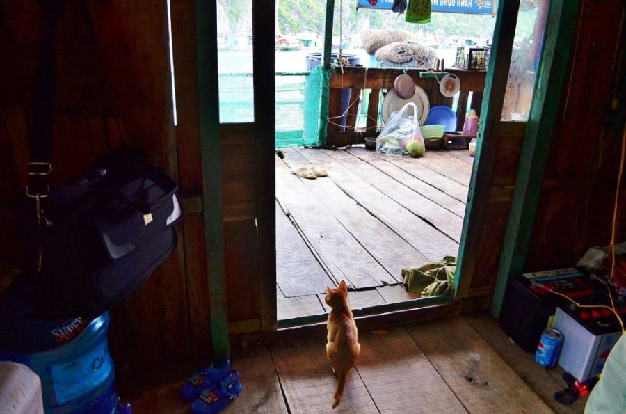 Жизнь в плавающем доме (35 фото)