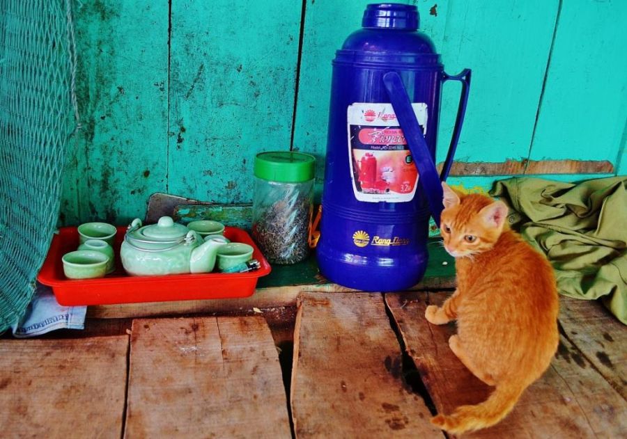 Жизнь в плавающем доме (35 фото)