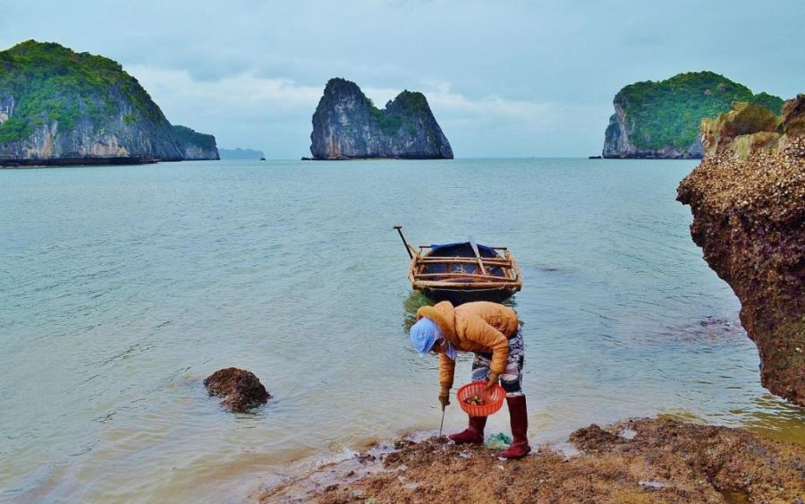 Жизнь в плавающем доме (35 фото)