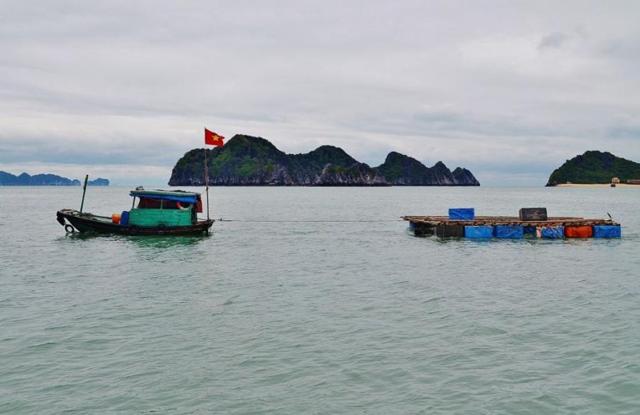 Жизнь в плавающем доме (35 фото)