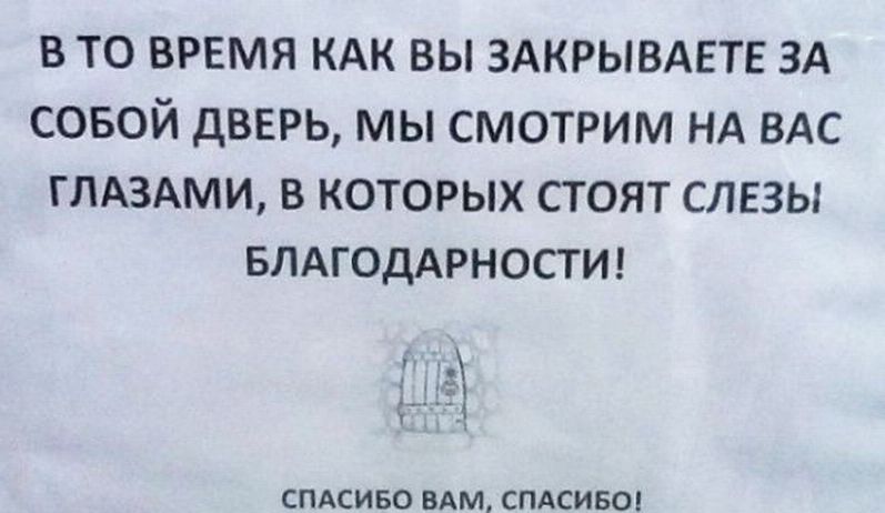 Народные маразмы (59 фото)