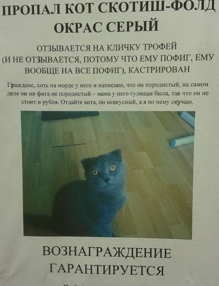 Народные маразмы (59 фото)