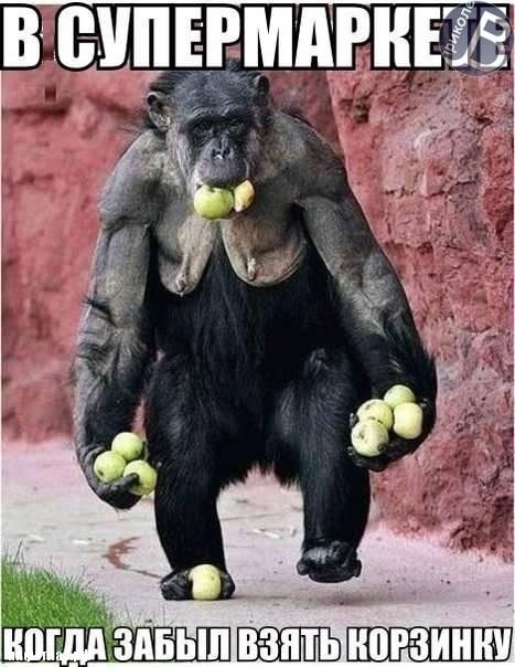 Народные маразмы (59 фото)