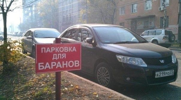 Народные маразмы (59 фото)