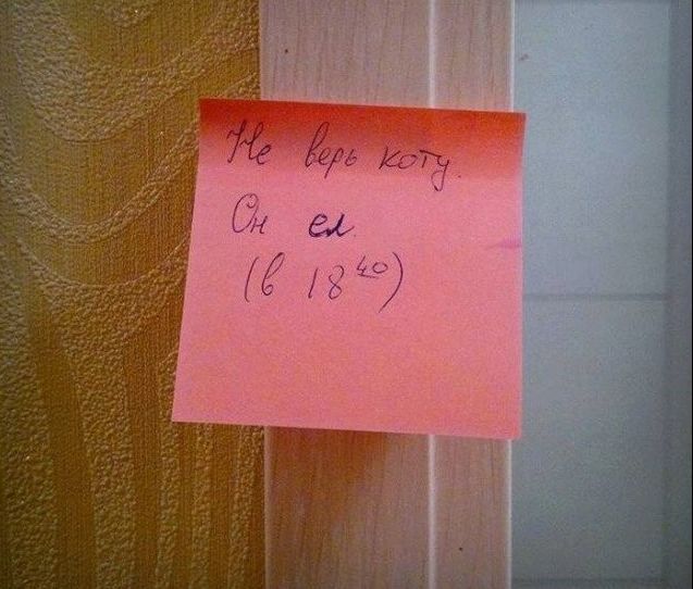 Народные маразмы (59 фото)