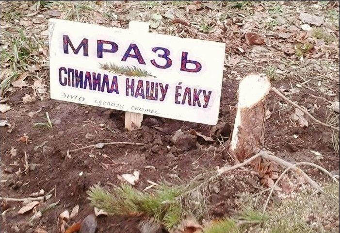 Народные маразмы (59 фото)