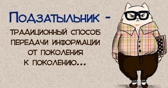 Народные маразмы (59 фото)