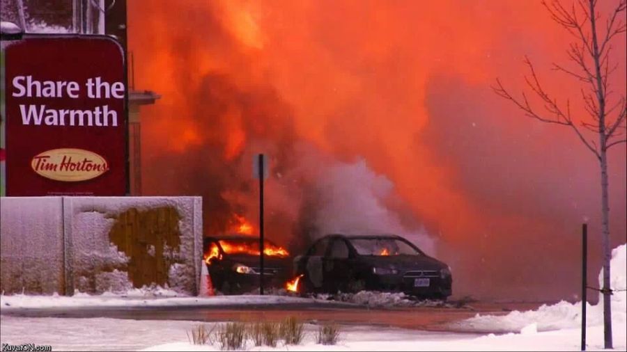 Прикольные картинки (57 фото)