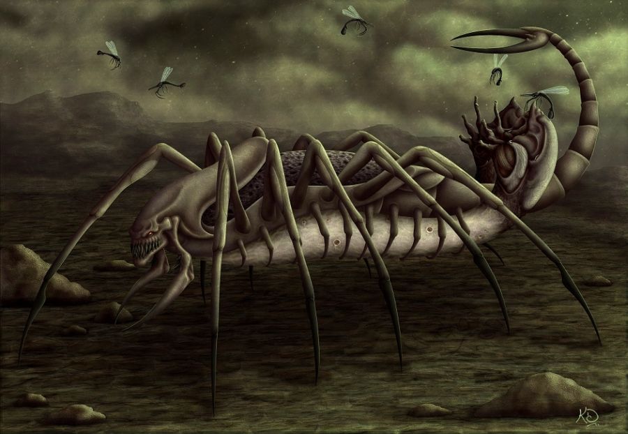 Прикольные картинки (57 фото)