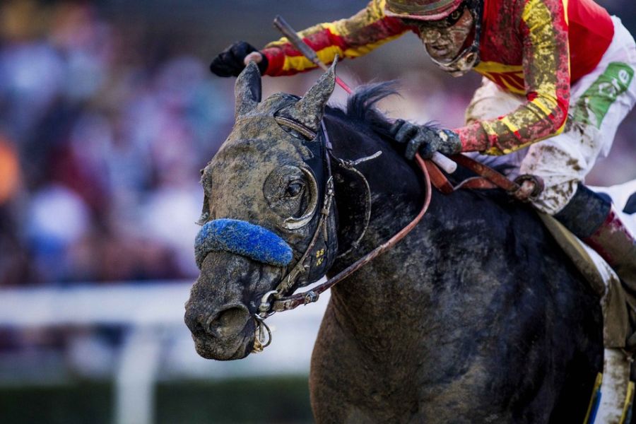 Прикольные картинки (57 фото)