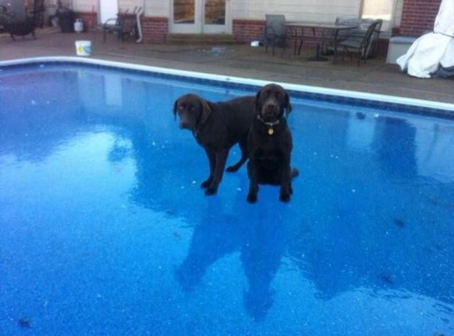 Прикольные картинки (57 фото)