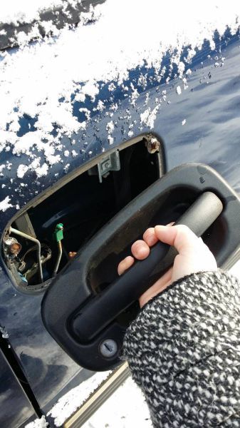 Прикольные картинки (57 фото)