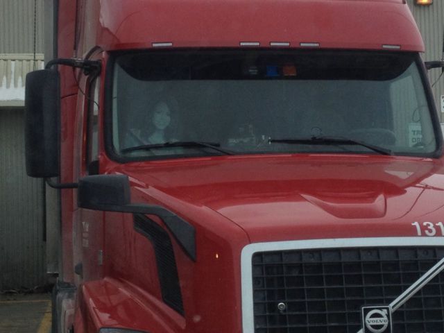 Прикольные картинки (57 фото)