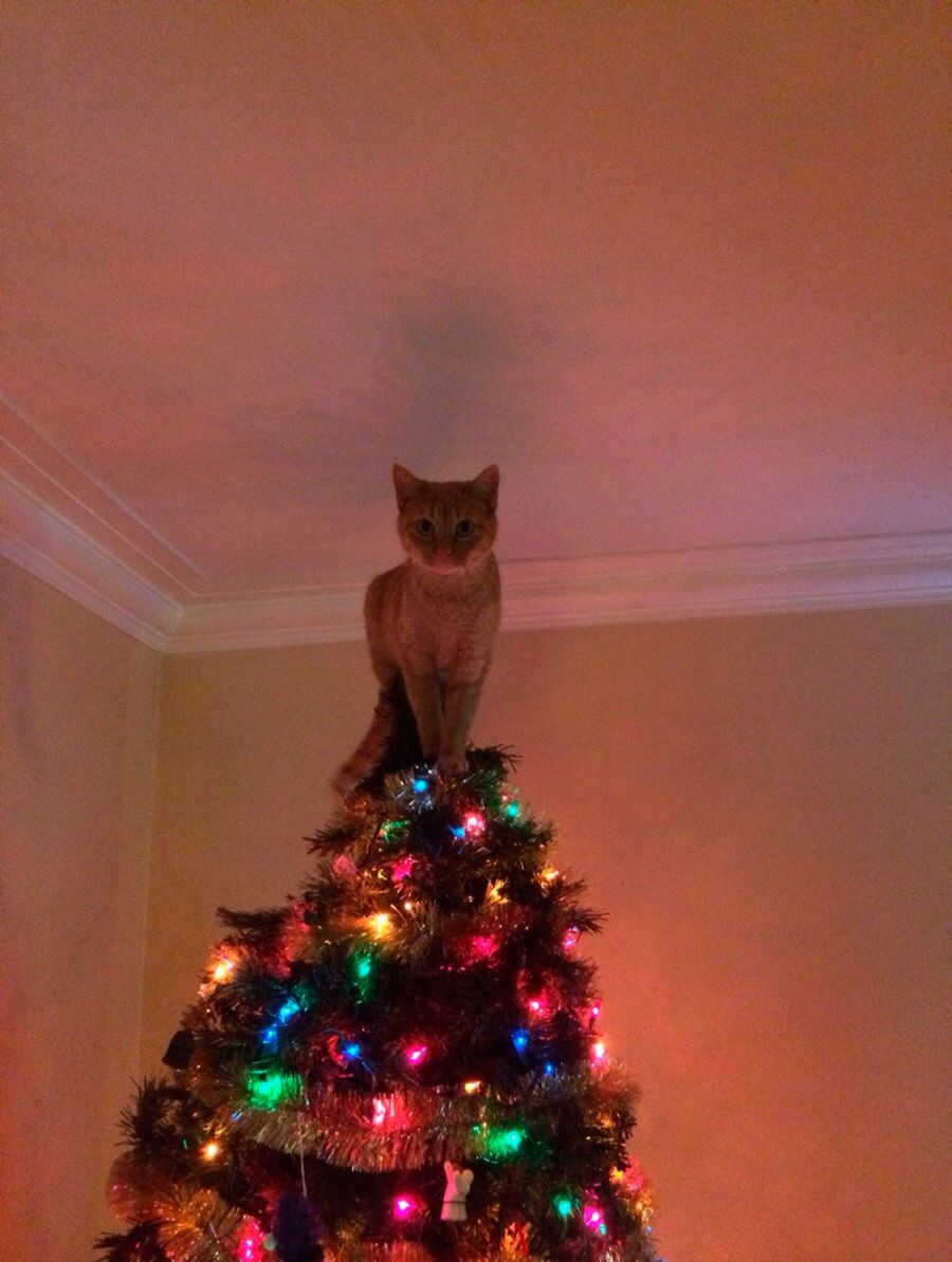 Прикольные картинки (57 фото)