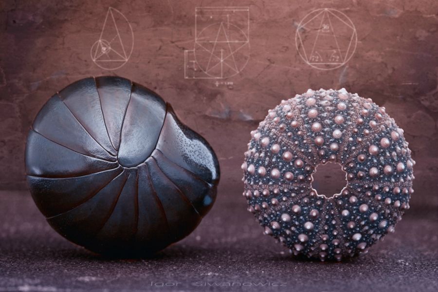 Прикольные картинки (57 фото)