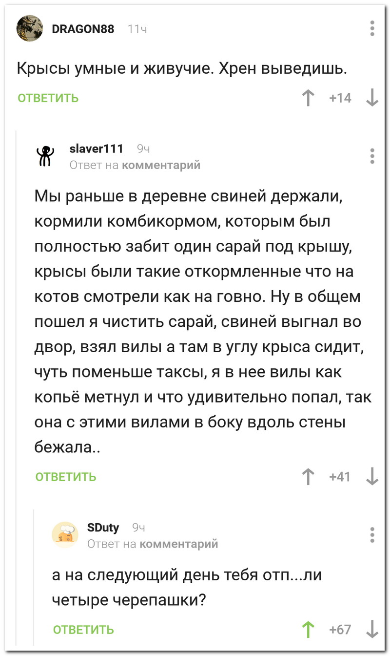 Забавные комментарии из социальных сетей