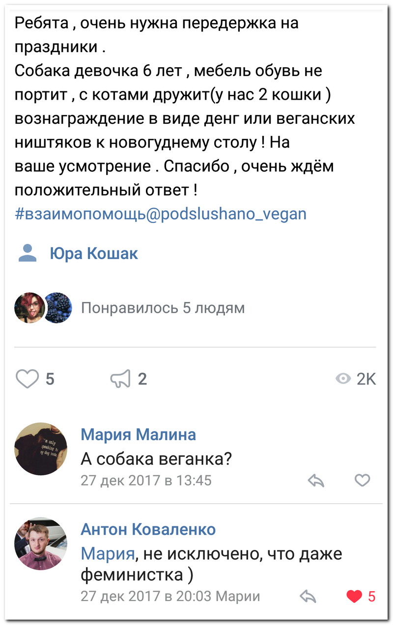 Забавные комментарии из социальных сетей