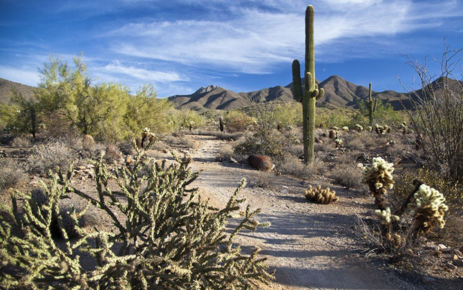 Самые холодные и самые жаркие населенные пункты Земли Самые холодные и самые жаркие населенные пункты Земли