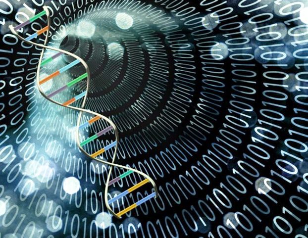 Реальный мир или Матрица?