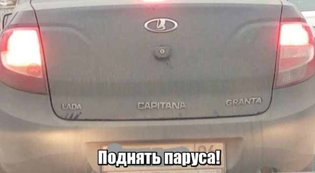 Прикольные картинки