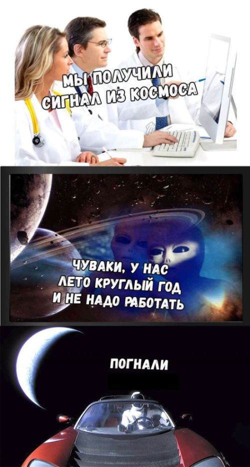 Прикольные картинки