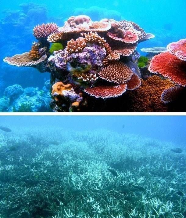 Популярные туристические места на фото и в реальности