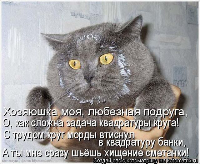 Лучшие котоматрицы недели