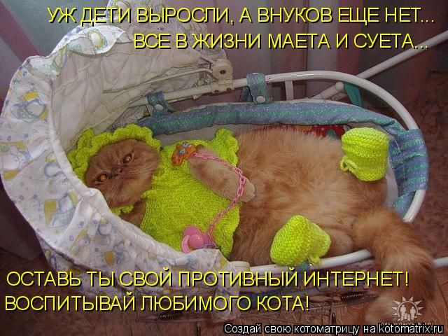 Лучшие котоматрицы недели