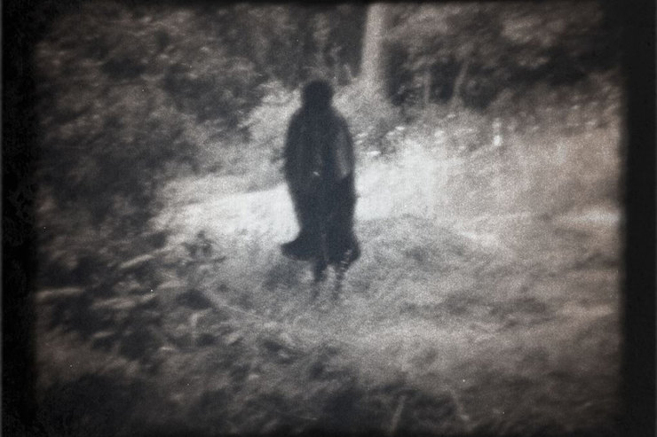 Самые мистические леса, в которых обитают привидения