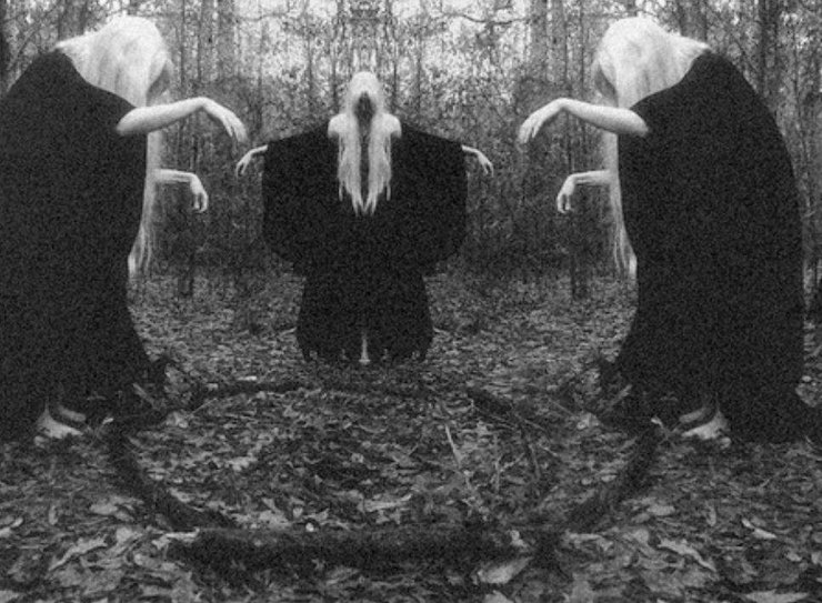 Самые мистические леса, в которых обитают привидения