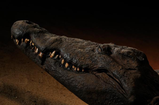 Мумии с самым лучшим сохраном