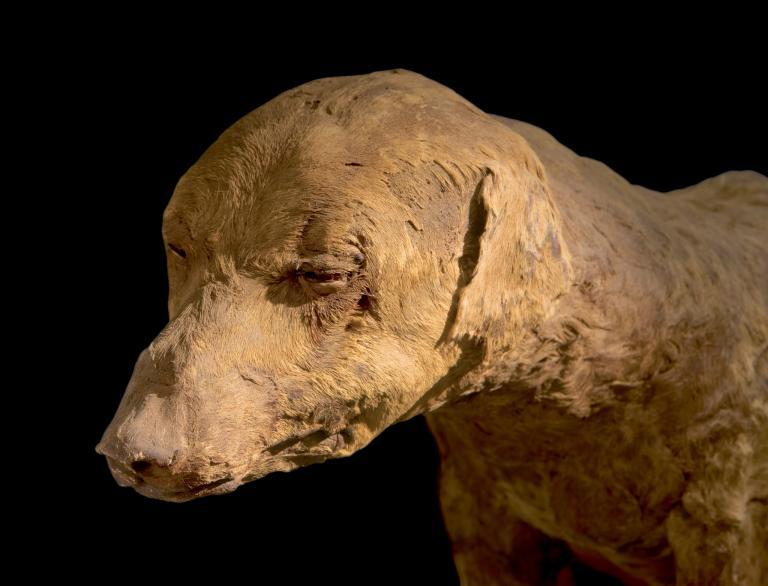 Мумии с самым лучшим сохраном