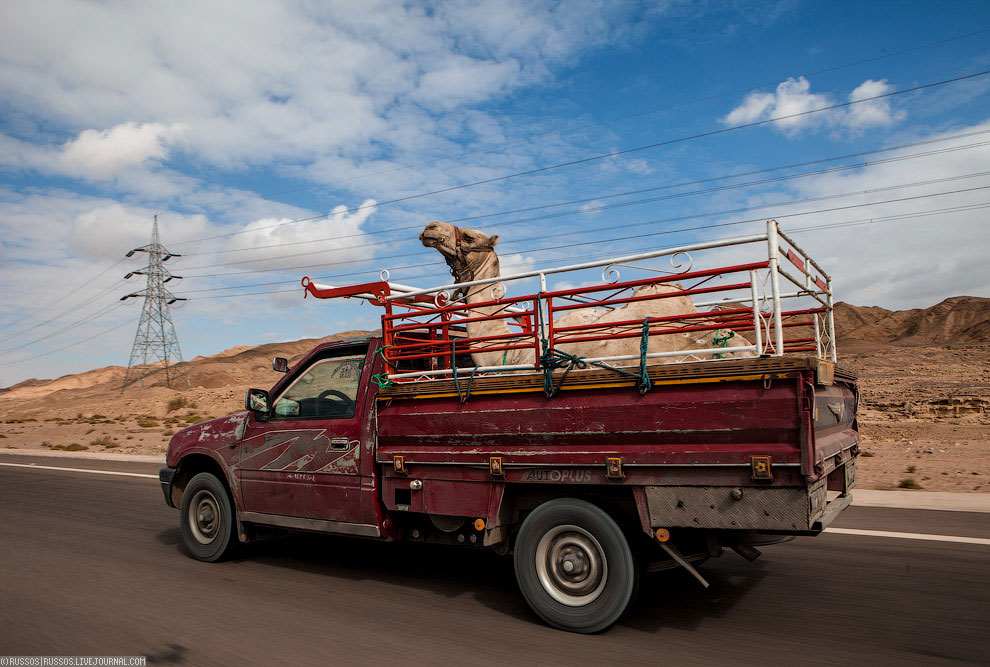 Нетуристический Египет Нетуристический Египет