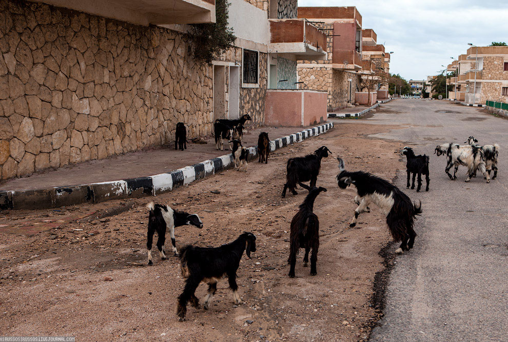 Нетуристический Египет Нетуристический Египет