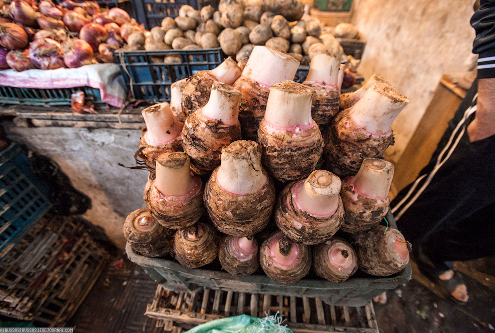 Нетуристический Египет Нетуристический Египет