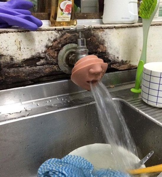 Забавные фото с просторов России и стран СНГ