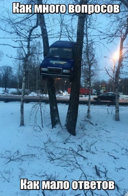 Забавные фото с просторов России и стран СНГ