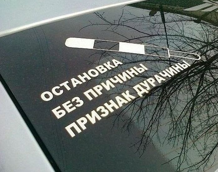 Забавные фото с просторов России и стран СНГ