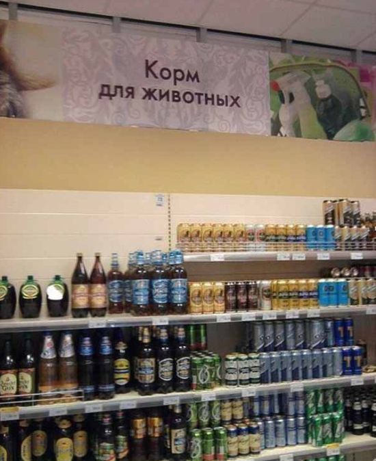 Забавные фото с просторов России и стран СНГ