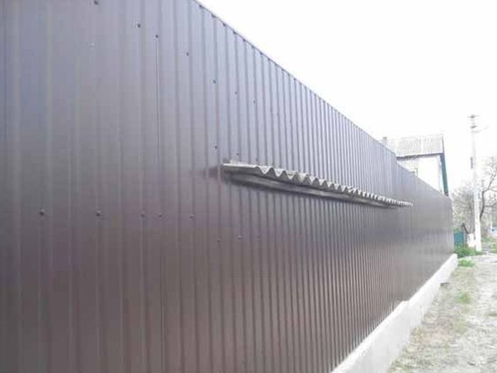 Забавные фото с просторов России и стран СНГ