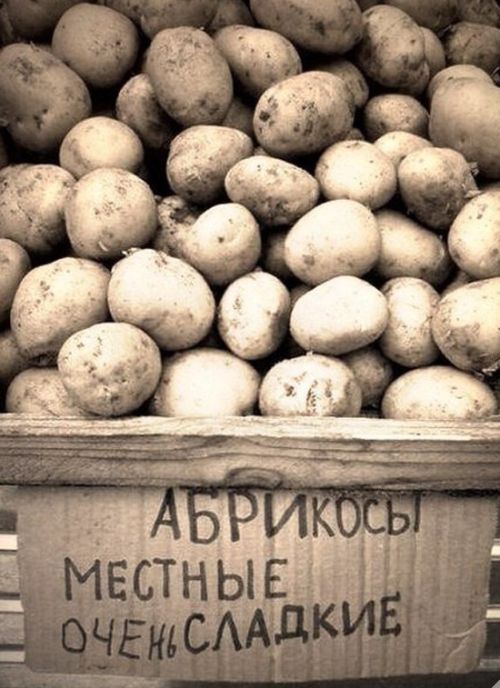 Забавные фото с просторов России и стран СНГ