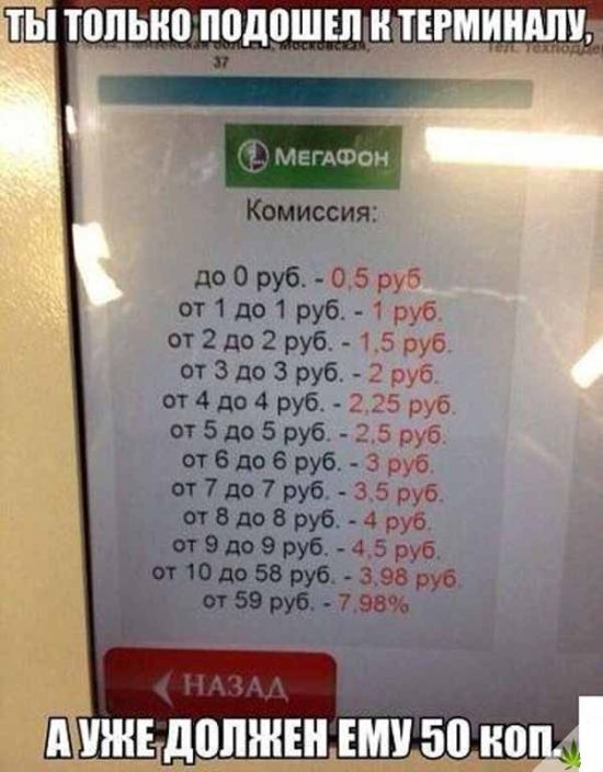 Забавные фото с просторов России и стран СНГ